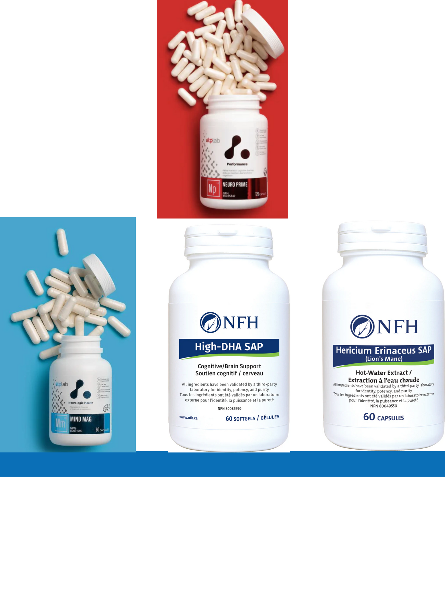 Cognitive Support Bundle