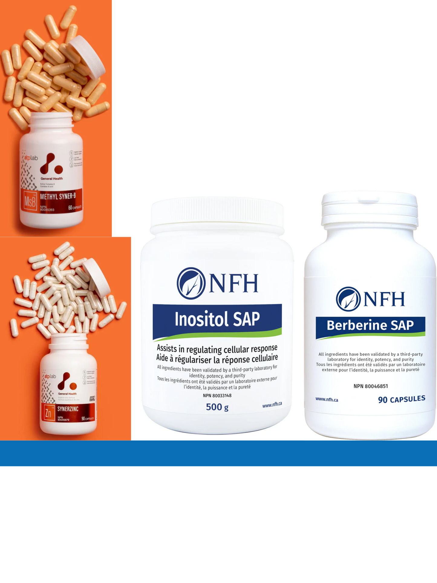 PCOS Support Bundle
