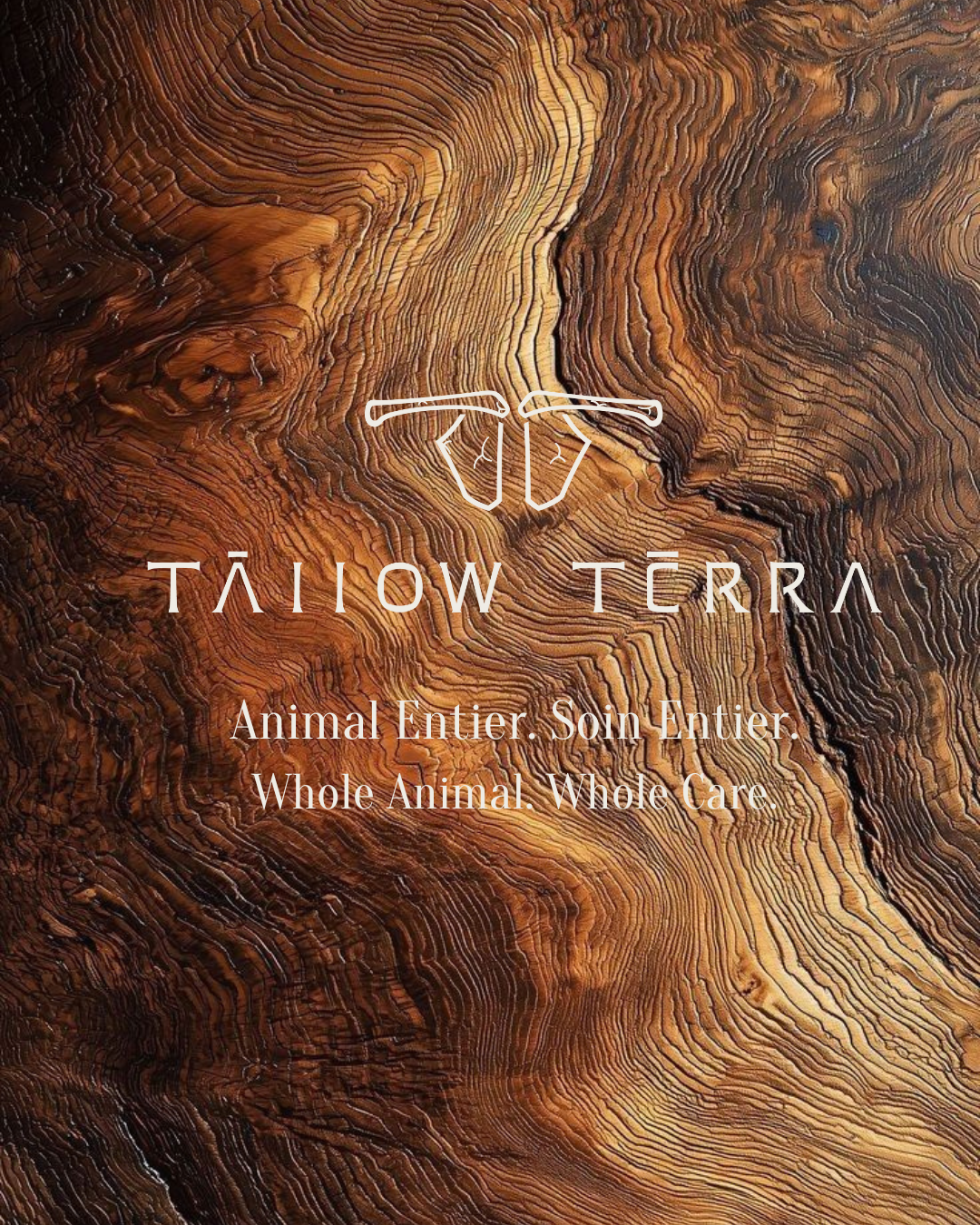Tāllow Tērra - Tallow & Seamoss Soap