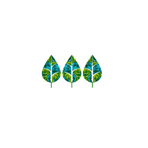 Ashley Messias, ND - Naturopathy Consultation