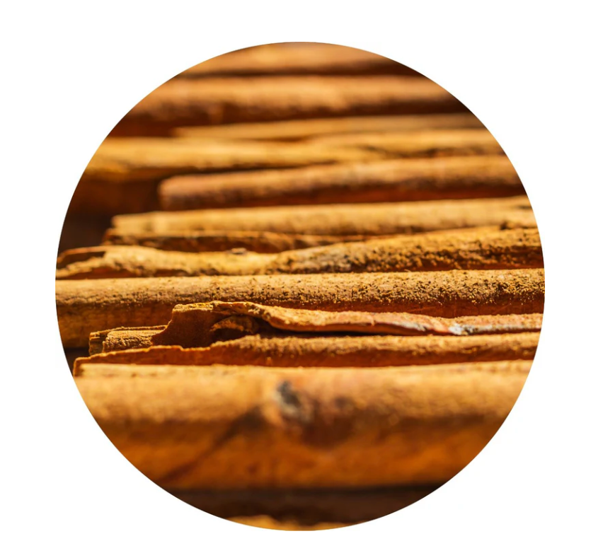 Cinnamon Bark Essential Oil 5ml