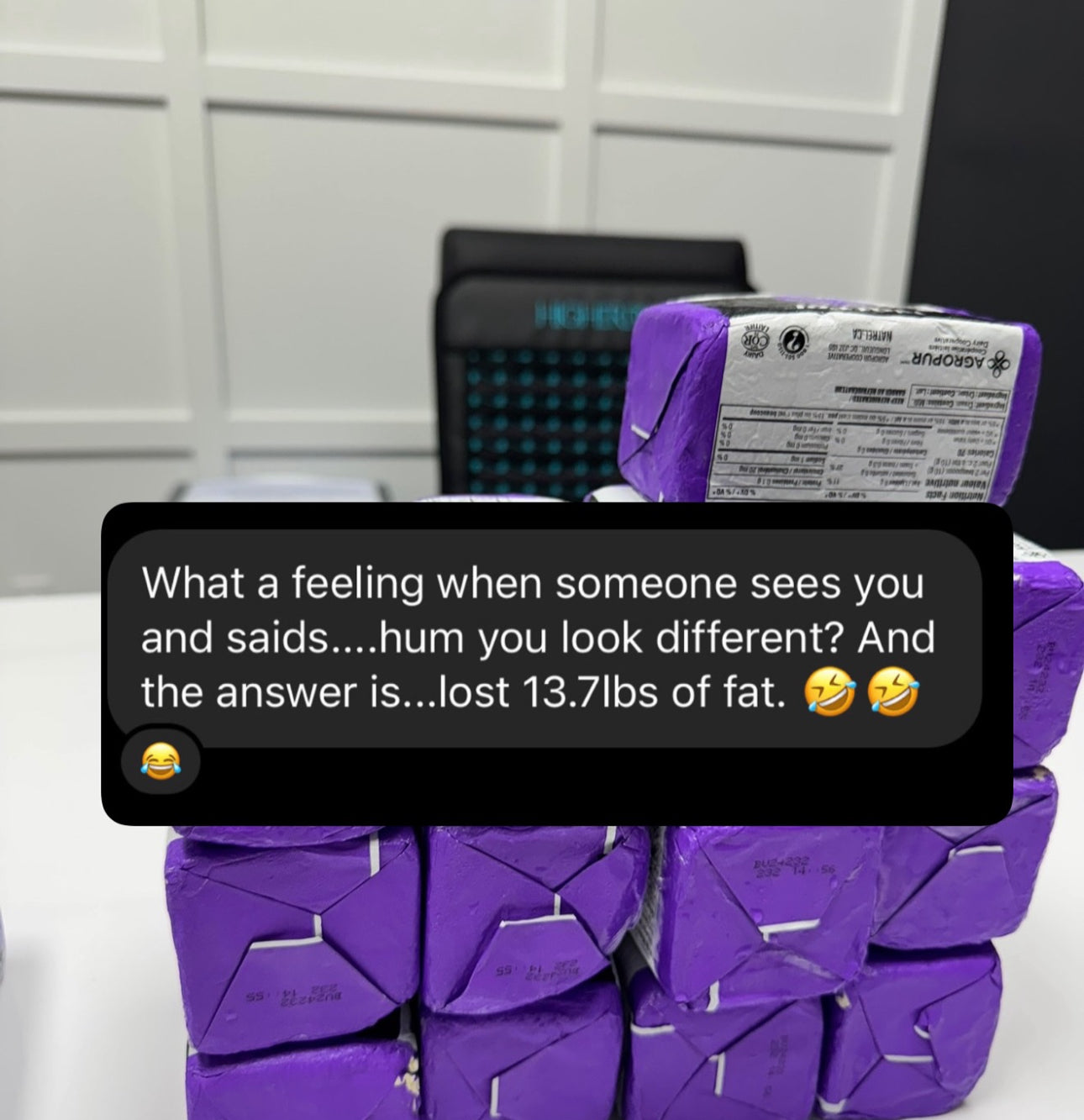 Health and Body Composition Optimization Program (6 week transformation and private IG page access)