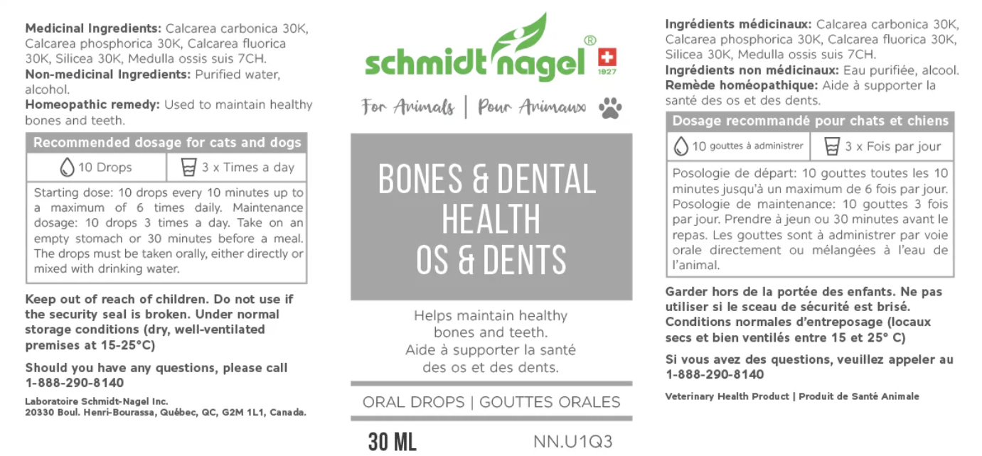 Bones and dental health (for animals)