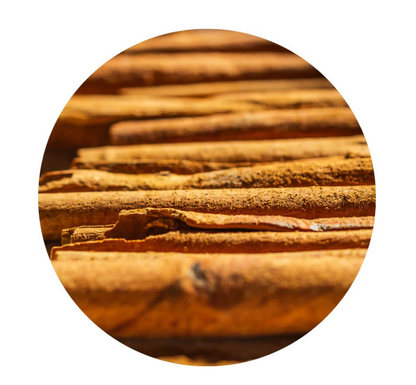 Cinnamon Bark Essential Oil 5ml