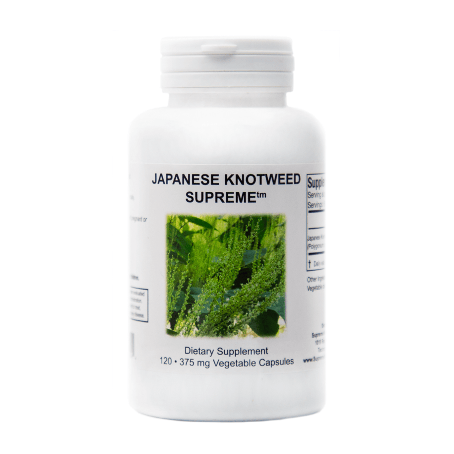 Supreme Nutrition Japanese Knotweed Supreme - Supreme Nutrition